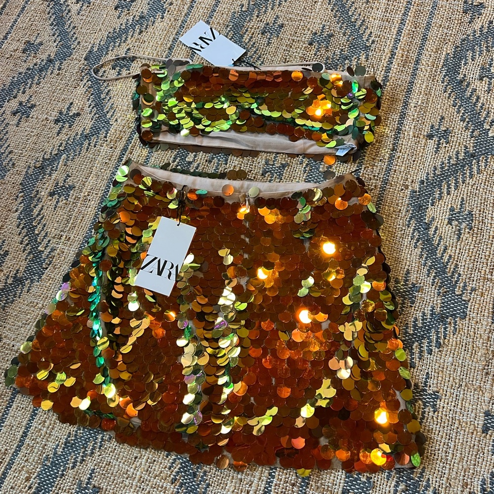 Zara Sequin Crop Top and Skirt Set